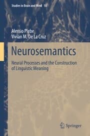 Cover von Neurosemantics