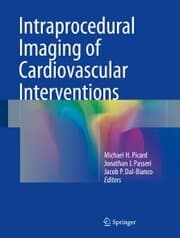 Cover von Intraprocedural Imaging of Cardiovascular Interventions
