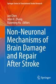 Cover von Non-Neuronal Mechanisms of Brain Damage and Repair After Stroke