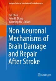 Cover von Non-Neuronal Mechanisms of Brain Damage and Repair After Stroke