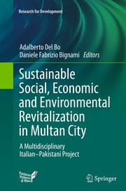 Cover von Sustainable Social, Economic and Environmental Revitalization in Multan City