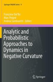 Cover von Analytic and Probabilistic Approaches to Dynamics in Negative Curvature