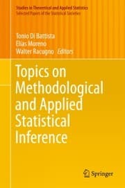 Cover von Topics on Methodological and Applied Statistical Inference