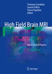 Cover von High Field Brain MRI