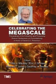 Cover von Celebrating the Megascale