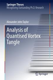 Cover von Analysis of Quantised Vortex Tangle