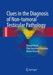 Cover von Clues in the Diagnosis of Non-tumoral Testicular Pathology