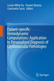 Cover von Patient-specific Hemodynamic Computations: Application to Personalized Diagnosis of Cardiovascular Pathologies