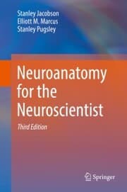 Cover von Neuroanatomy for the Neuroscientist