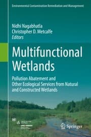 Cover von Multifunctional Wetlands