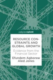 Cover von Resource Constraints and Global Growth