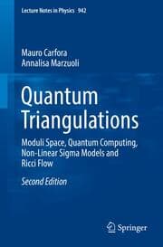 Cover von Quantum Triangulations