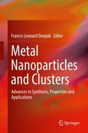 Cover von Metal Nanoparticles and Clusters