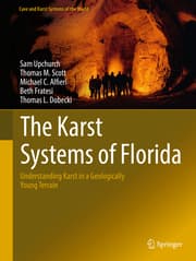 Cover von The Karst Systems of Florida