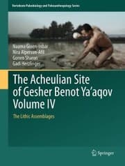 Cover von The Acheulian Site of Gesher Benot Ya'aqov Volume IV