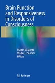 Cover von Brain Function and Responsiveness in Disorders of Consciousness