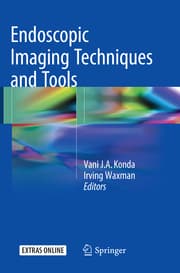 Cover von Endoscopic Imaging Techniques and Tools