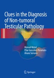 Cover von Clues in the Diagnosis of Non-tumoral Testicular Pathology