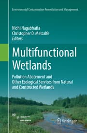 Cover von Multifunctional Wetlands