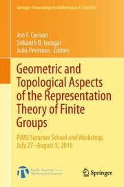 Cover von Geometric and Topological Aspects of the Representation Theory of Finite Groups