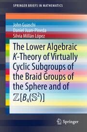 Cover von The Lower Algebraic K-Theory of Virtually Cyclic Subgroups of the Braid Groups of the Sphere and of ZB4(S2)