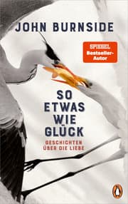 Cover von So etwas wie Glück