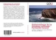 Cover von Sedimentología de un foredeep confinado: Formación Caracol