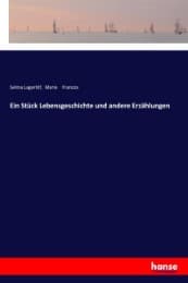 Cover von Ein Stück Lebensgeschichte und andere Erzählungen