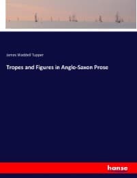 Cover von Tropes and Figures in Anglo-Saxon Prose