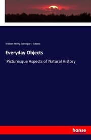 Cover von Everyday Objects