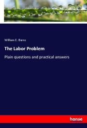 Cover von The Labor Problem