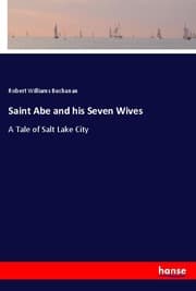 Cover von Saint Abe and his Seven Wives