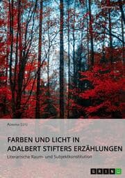 Cover von Farben und Licht in Adalbert Stifters Erzählungen. Literarische Raum- und Subjektkonstitution