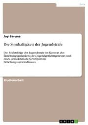 Cover von Die Sinnhaftigkeit der Jugendstrafe
