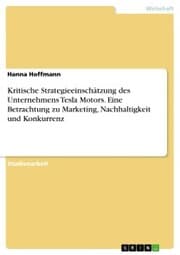 Cover von Kritische Strategieeinschätzung des Unternehmens Tesla Motors. Eine Betrachtung zu Marketing, Nachhaltigkeit und Konkurrenz