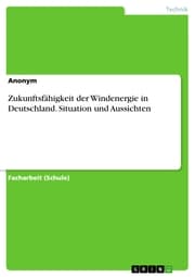 Cover von Zukunftsfähigkeit der Windenergie in Deutschland. Situation und Aussichten