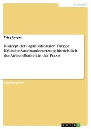 Cover von Konzept der organisationalen Energie. Kritische Auseinandersetzung hinsichtlich der Anwendbarkeit in der Praxis