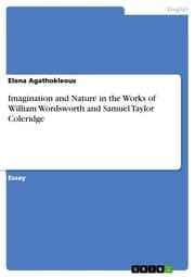 Cover von Imagination and Nature in the Works of William Wordsworth and Samuel Taylor Coleridge