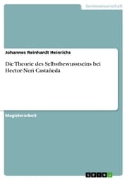 Cover von Die Theorie des Selbstbewusstseins bei Hector-Neri Castañeda