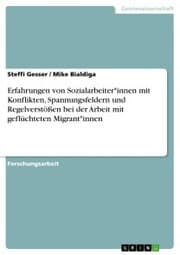Cover von Erfahrungen von Sozialarbeiter