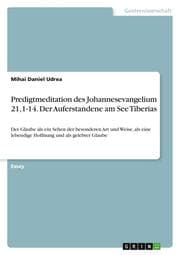 Cover von Predigtmeditation des Johannesevangelium 21,1-14. Der Auferstandene am See Tiberias