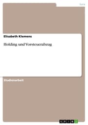 Cover von Holding und Vorsteuerabzug