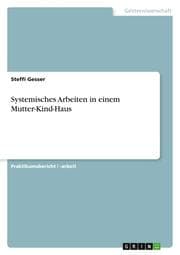 Cover von Systemisches Arbeiten in einem Mutter-Kind-Haus