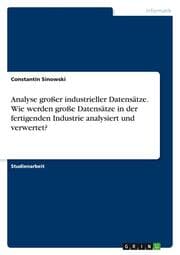 Cover von Analyse großer industrieller Datensätze. Wie werden große Datensätze in der fertigenden Industrie analysiert und verwertet?