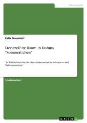 Cover von Der erzählte Raum in Dohms 'Sommerlieben'