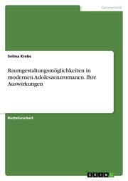 Cover von Raumgestaltungsmöglichkeiten in modernen Adoleszenzromanen. Ihre Auswirkungen