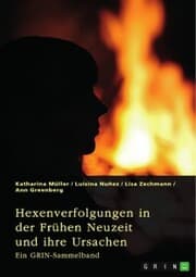 Cover von Hexenverfolgungen in der Frühen Neuzeit und ihre Ursachen. Über den Hexenhammer, die Hexenprozesse von Salem und die Verurteilung von Jeanne d'Arc