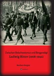 Cover von Zwischen Bolschewismus und Bergpredigt