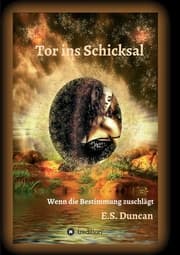 Cover von Tor ins Schicksal