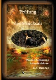 Cover von Prüfung des Schicksals